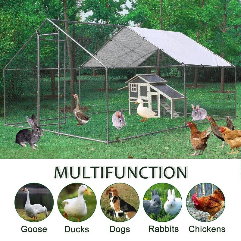 Outdoor Chicken coop 6Mx3M