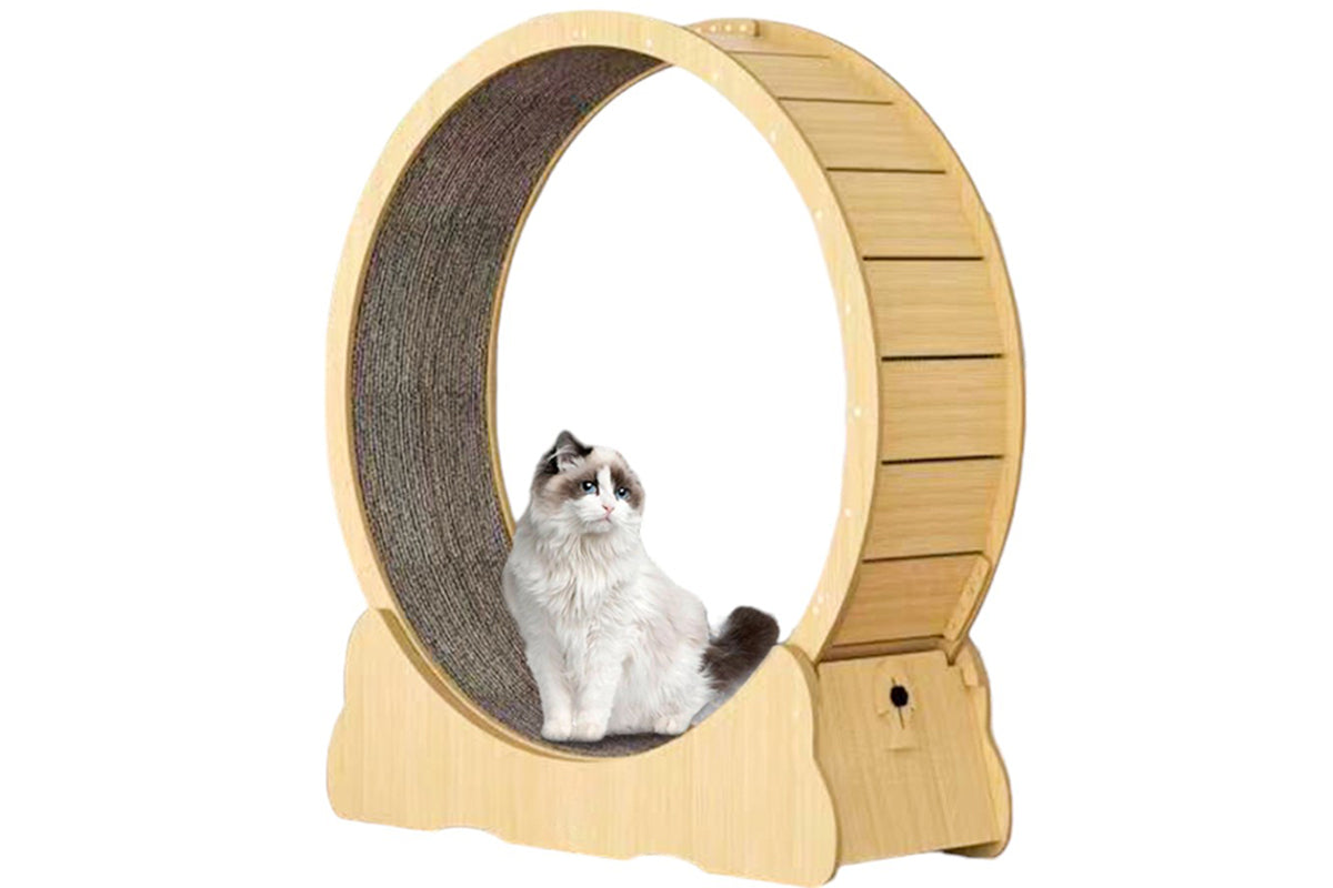 Cat Exercise Wheel Cat Scratcher Board