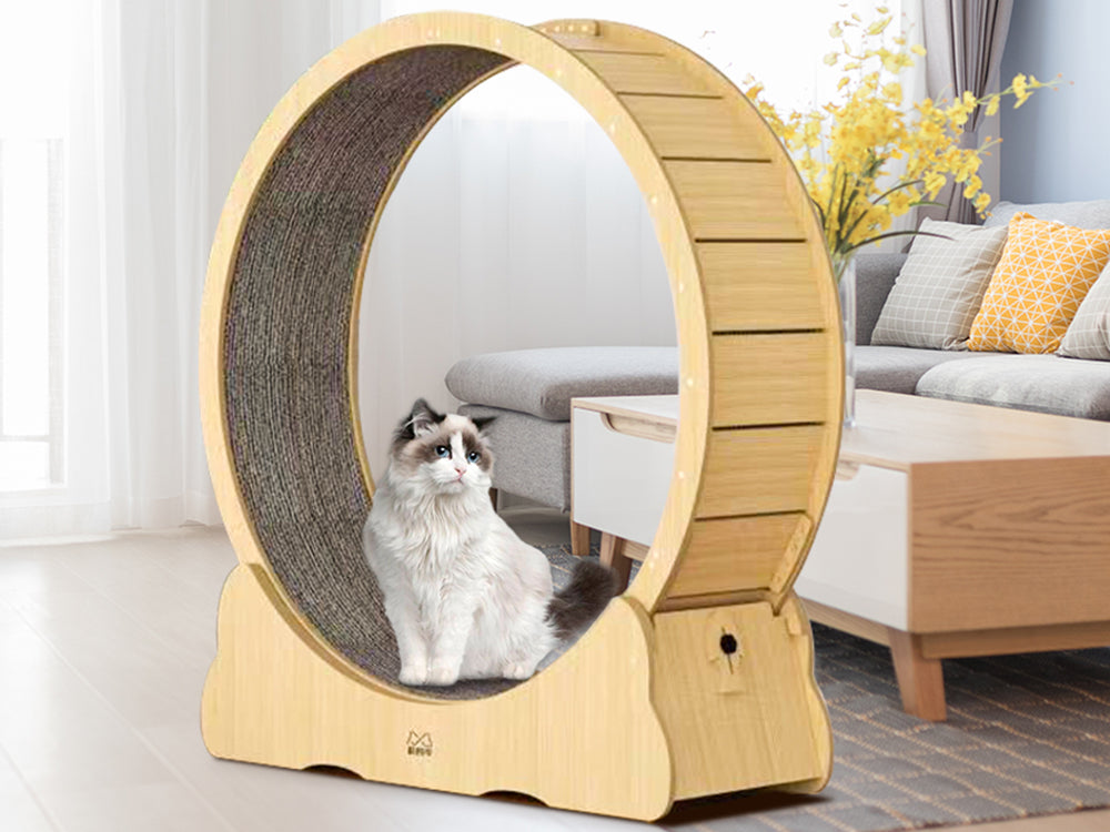 Cat Exercise Wheel Cat Scratcher Board