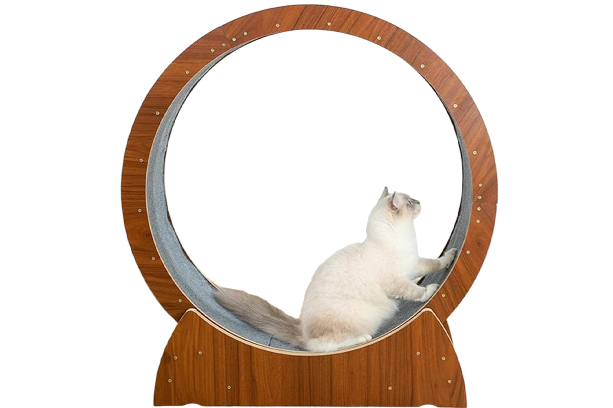 Cat Exercise Wheel Cat Scratcher Board