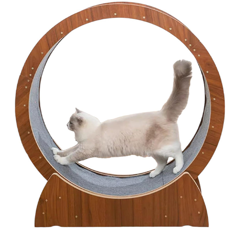 Cat Exercise Wheel Cat Scratcher Board