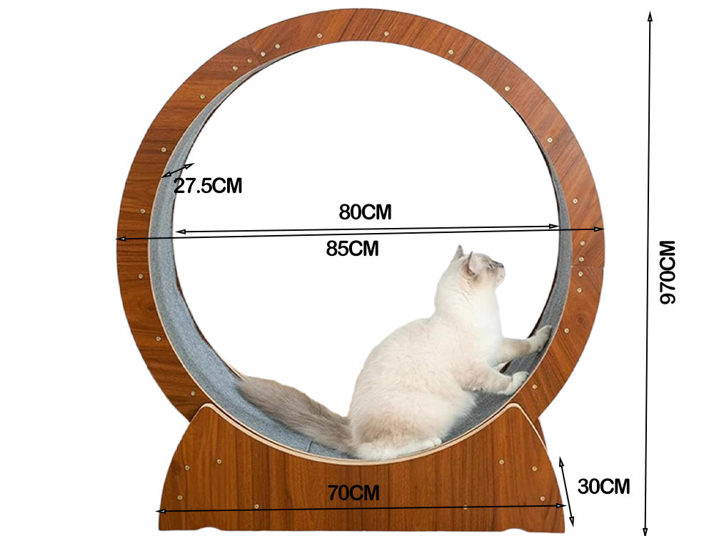 Cat Exercise Wheel Cat Scratcher Board