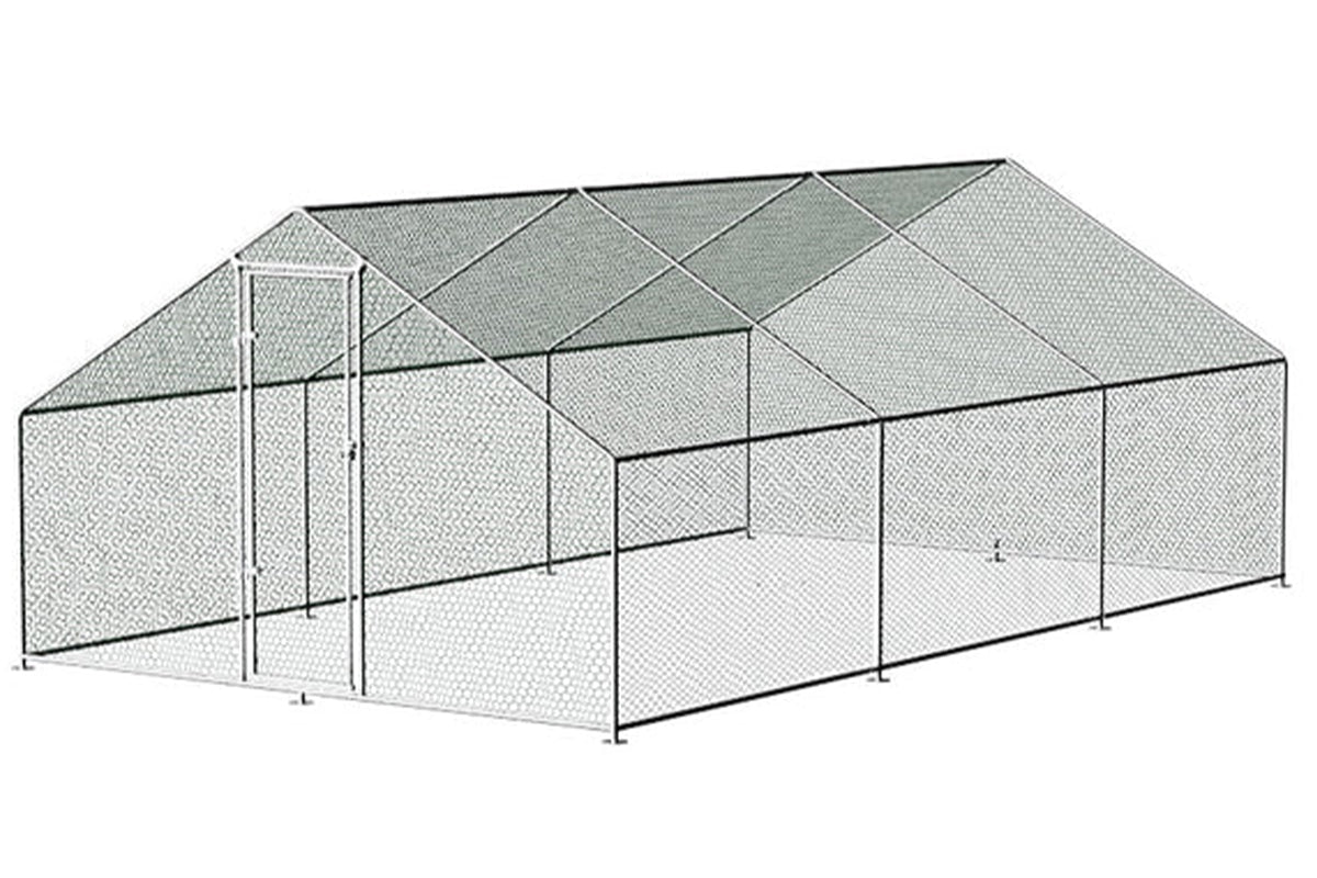 Outdoor Chicken coop 6Mx3M