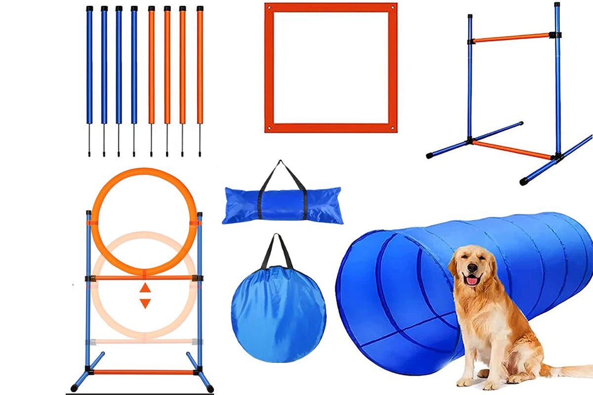 Dog Agility Equipment