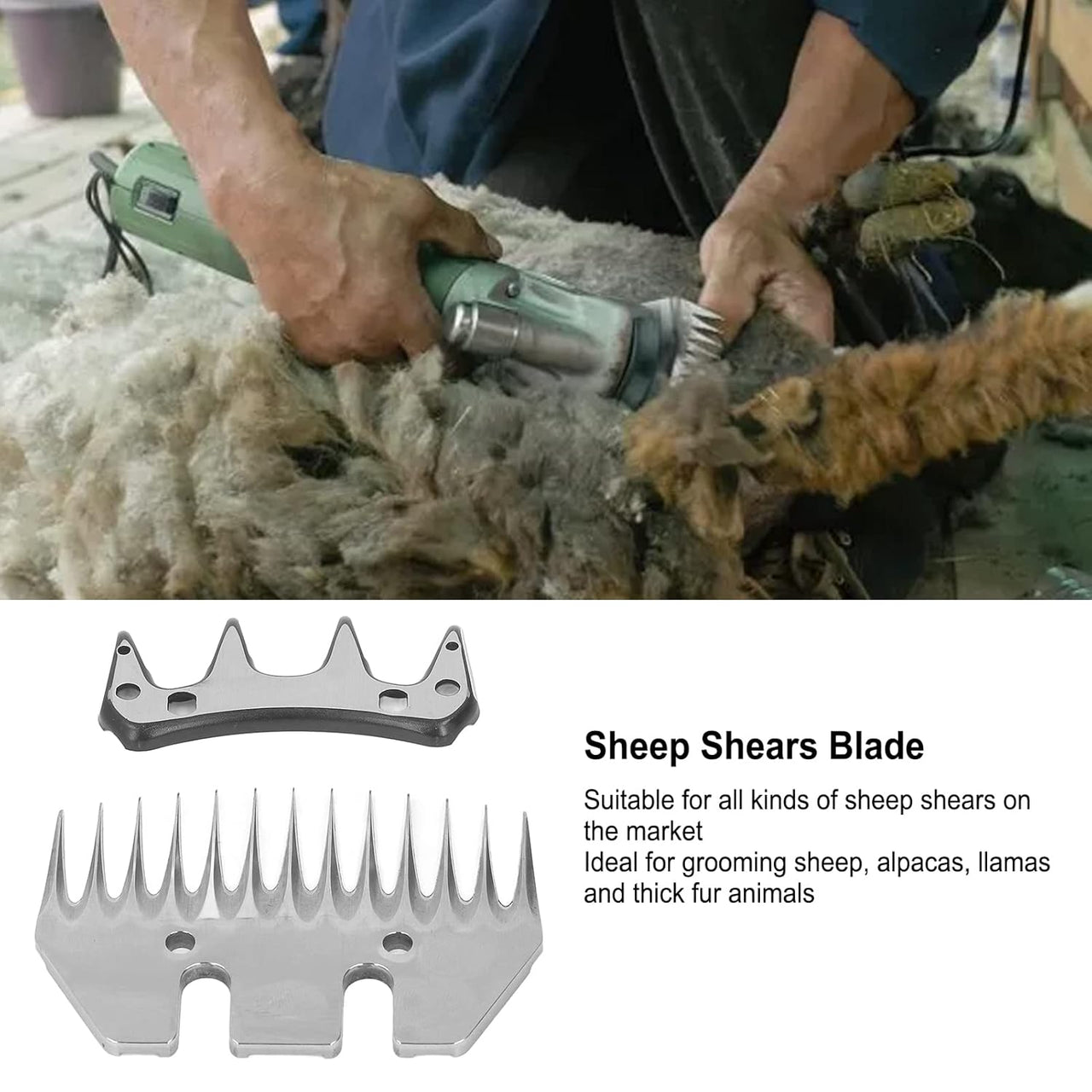 Electric Sheep clipper blade