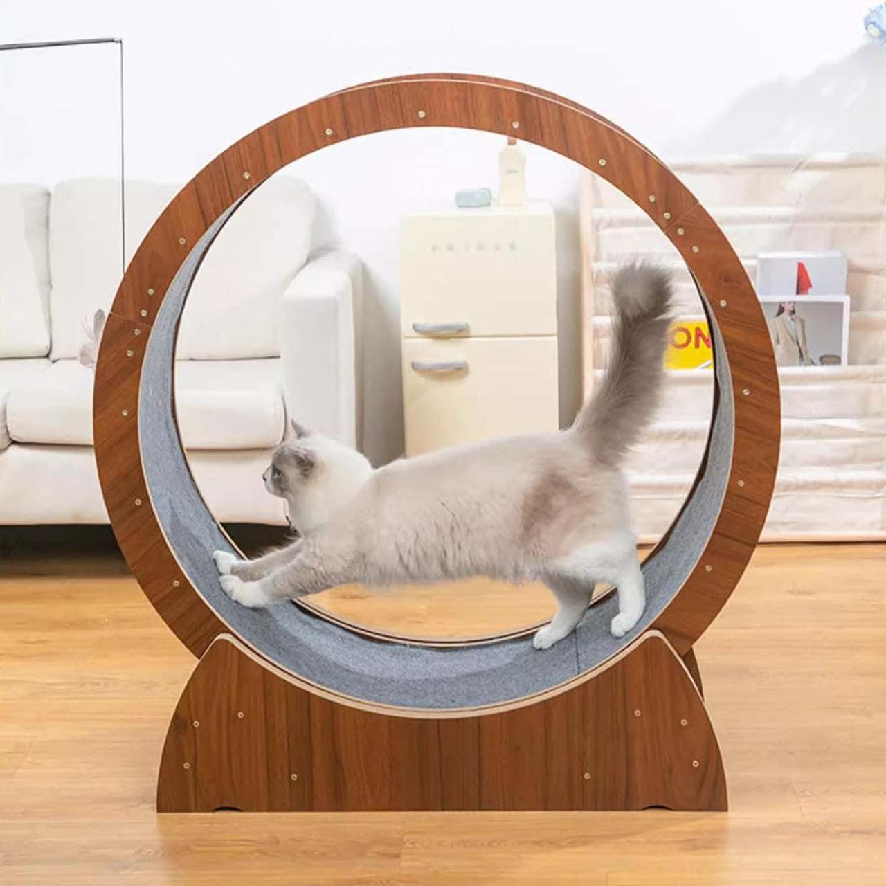 Cat Exercise Wheel Cat Scratcher Board