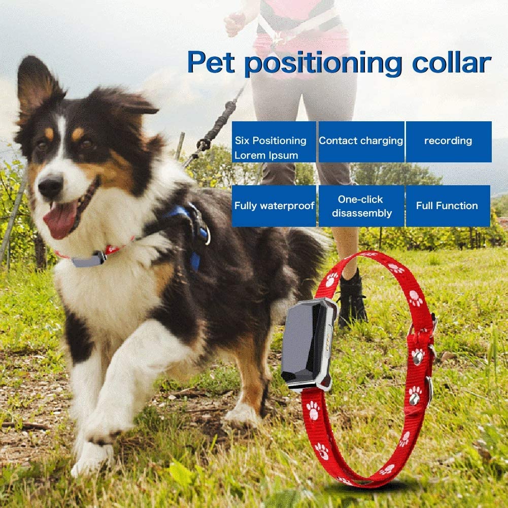 Smart Pet Locator Waterproof Anti-Lost Location Tracker Collar For Cats Dogs