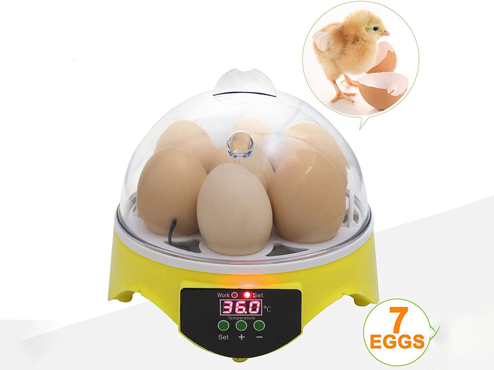 Egg Incubator Hatcher