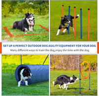 Thumbnail for Dog Agility Equipment