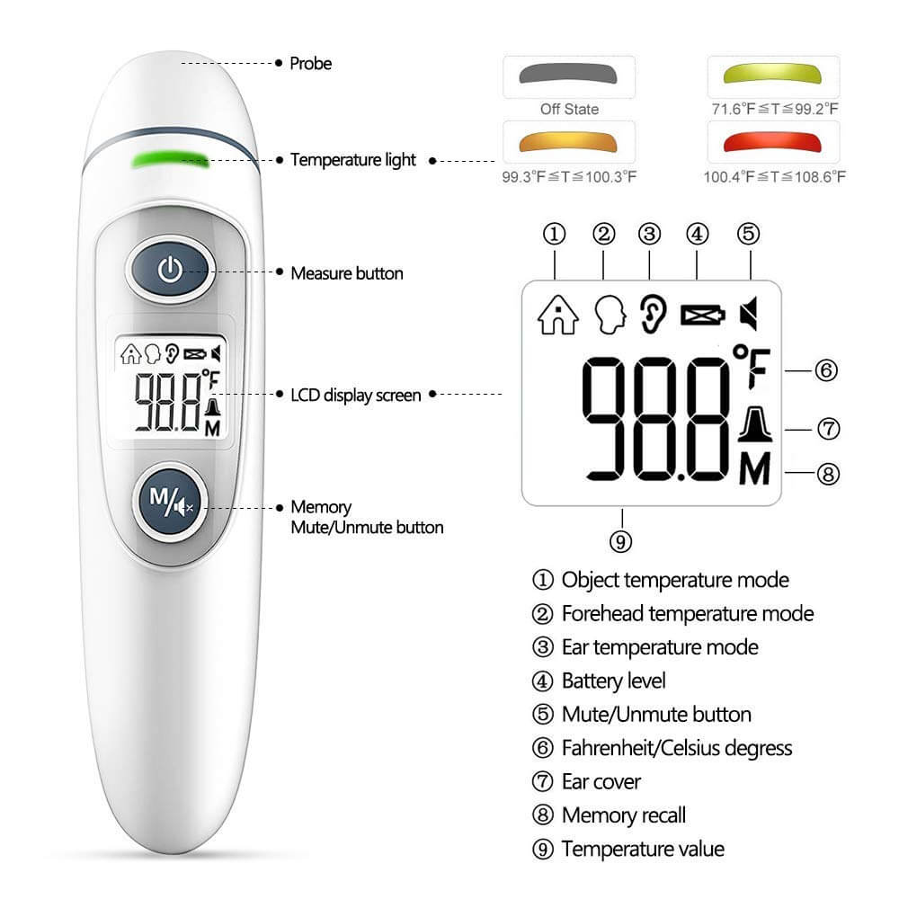 Forehead & Ear Thermometer