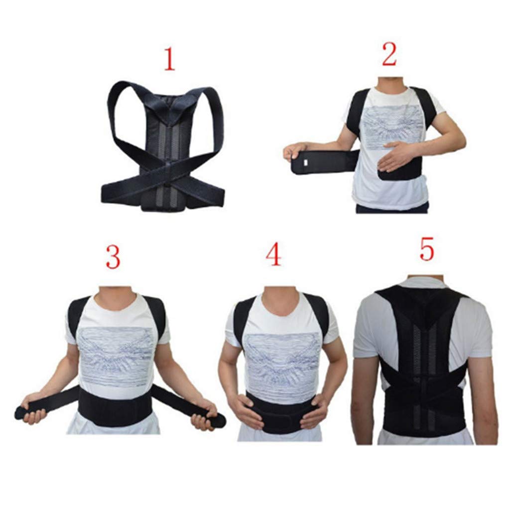 Posture Corrector (XL) Effective Comfortable Adjustable Back Straightener