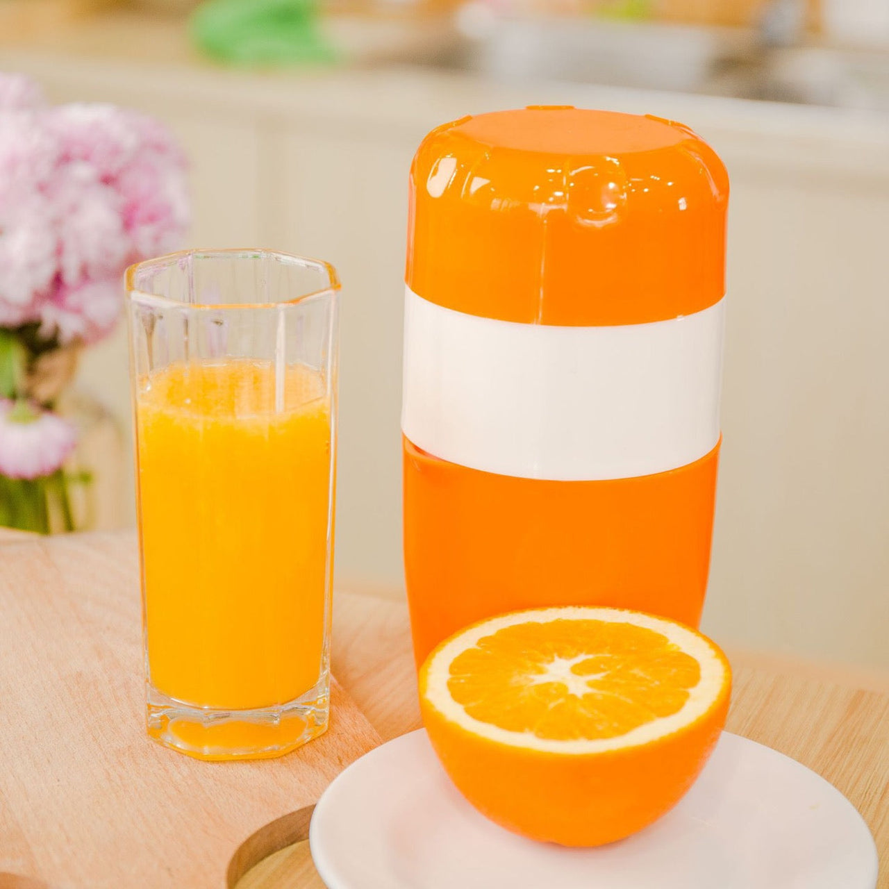 Hand Juicer Citrus Orange Squeezer Manual