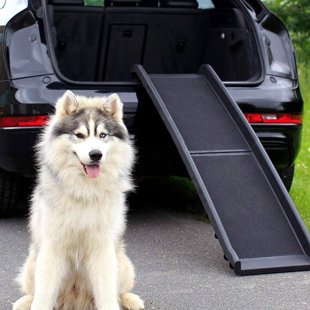 Dog Ramp Dog Stairs Dog Car Ramp