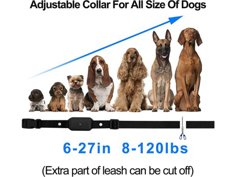 Dog Training Collar