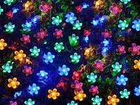 Thumbnail for 20 Led Solar Flower Lights