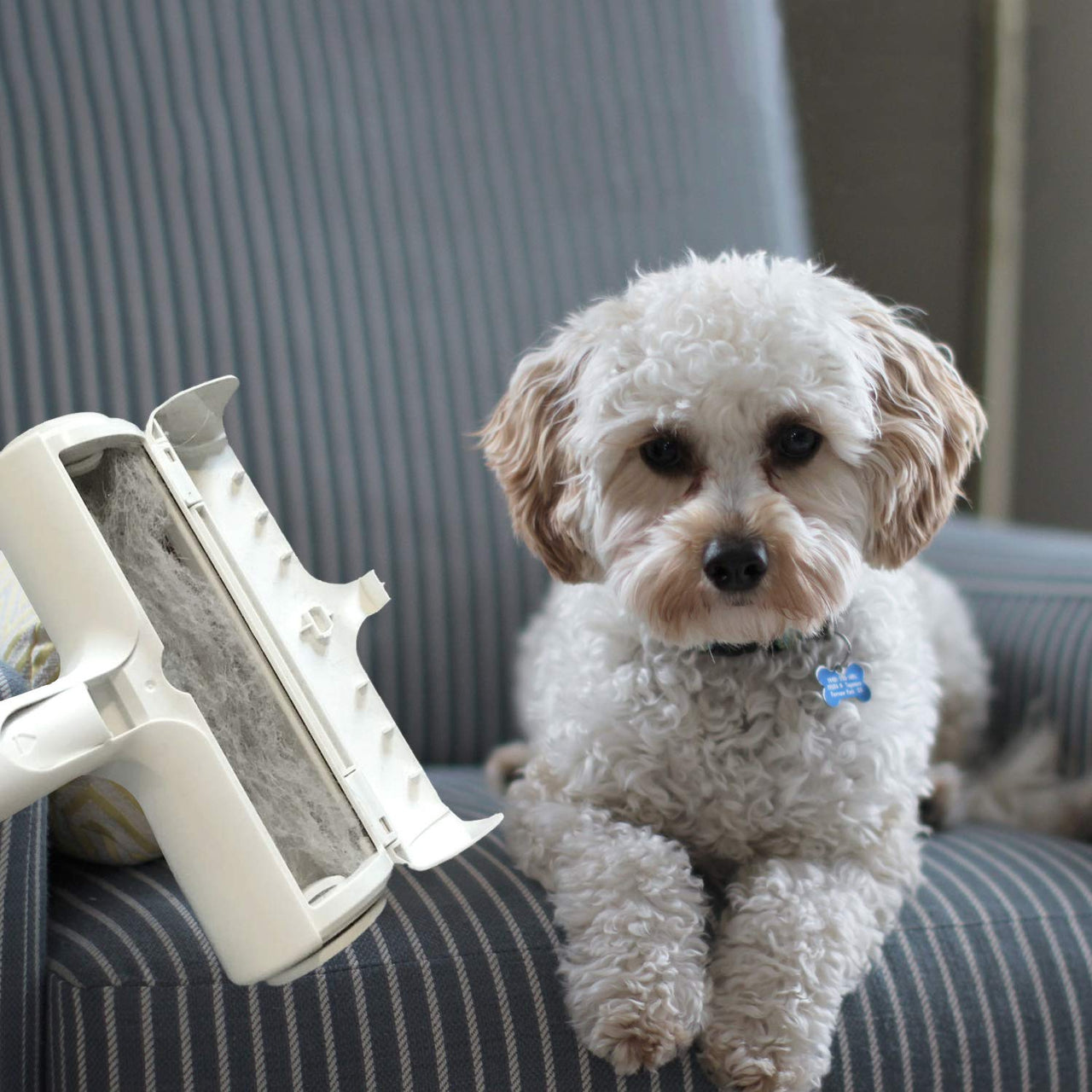 Pet Hair Remover Roller Brush