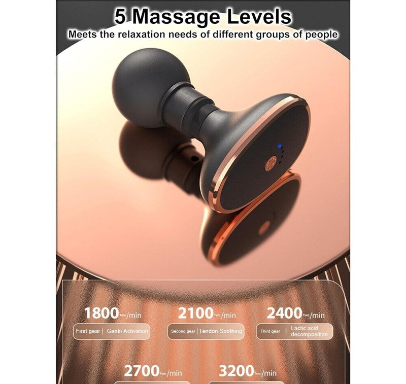 Electric Handheld Massager