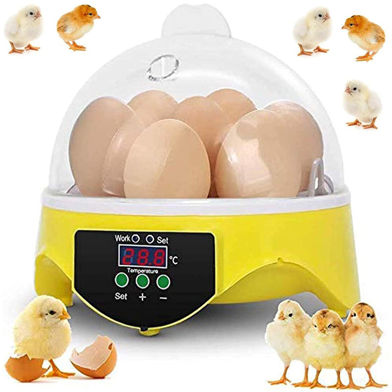 Egg Incubator Hatcher