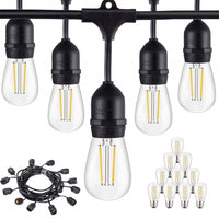 Thumbnail for Festoon Light String Lights 20M 24 LED Bulbs