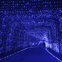 Thumbnail for Curtain Lights 3X6M Blue