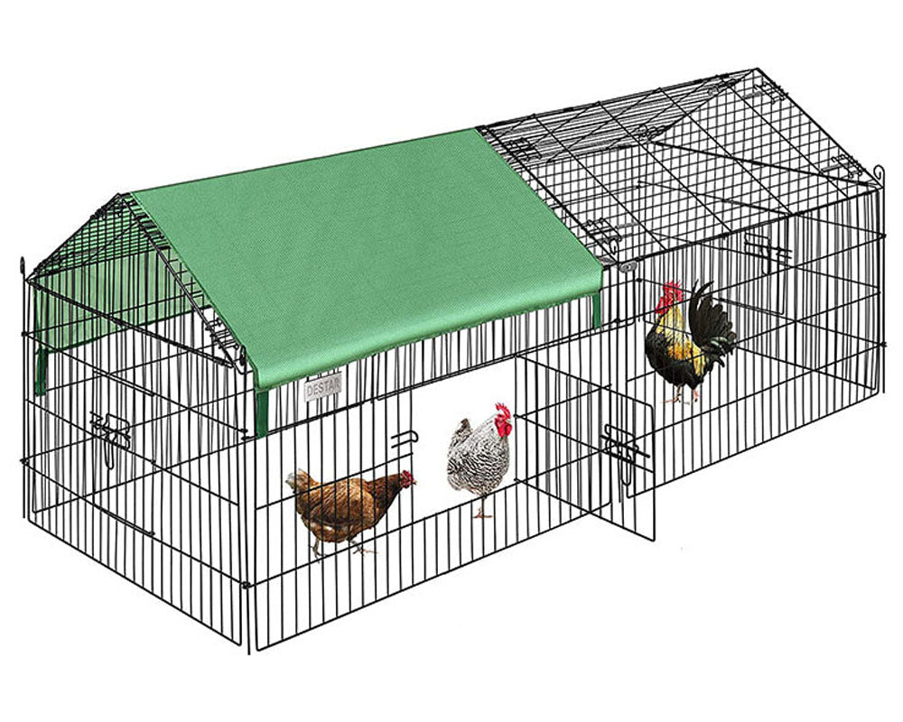 Outdoor Chicken Coop