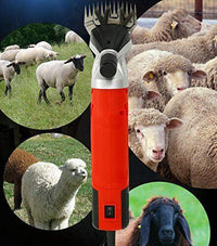 Thumbnail for Sheep Shears Sheep Shearing 500W