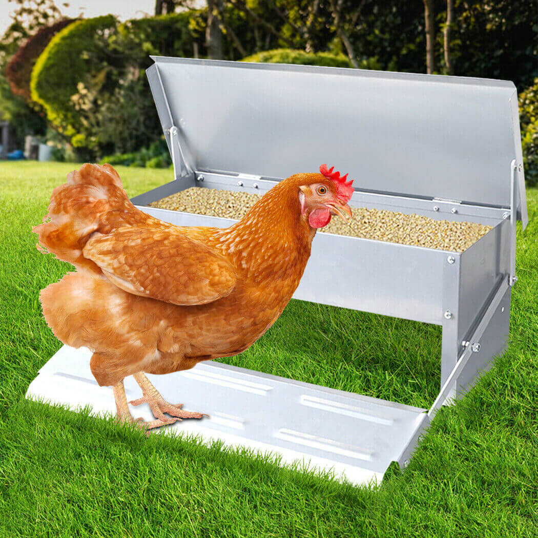 Automatic Chicken Feeder 5KG - The Shopsite