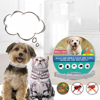 Thumbnail for Flea Tick Dog Collar Pet