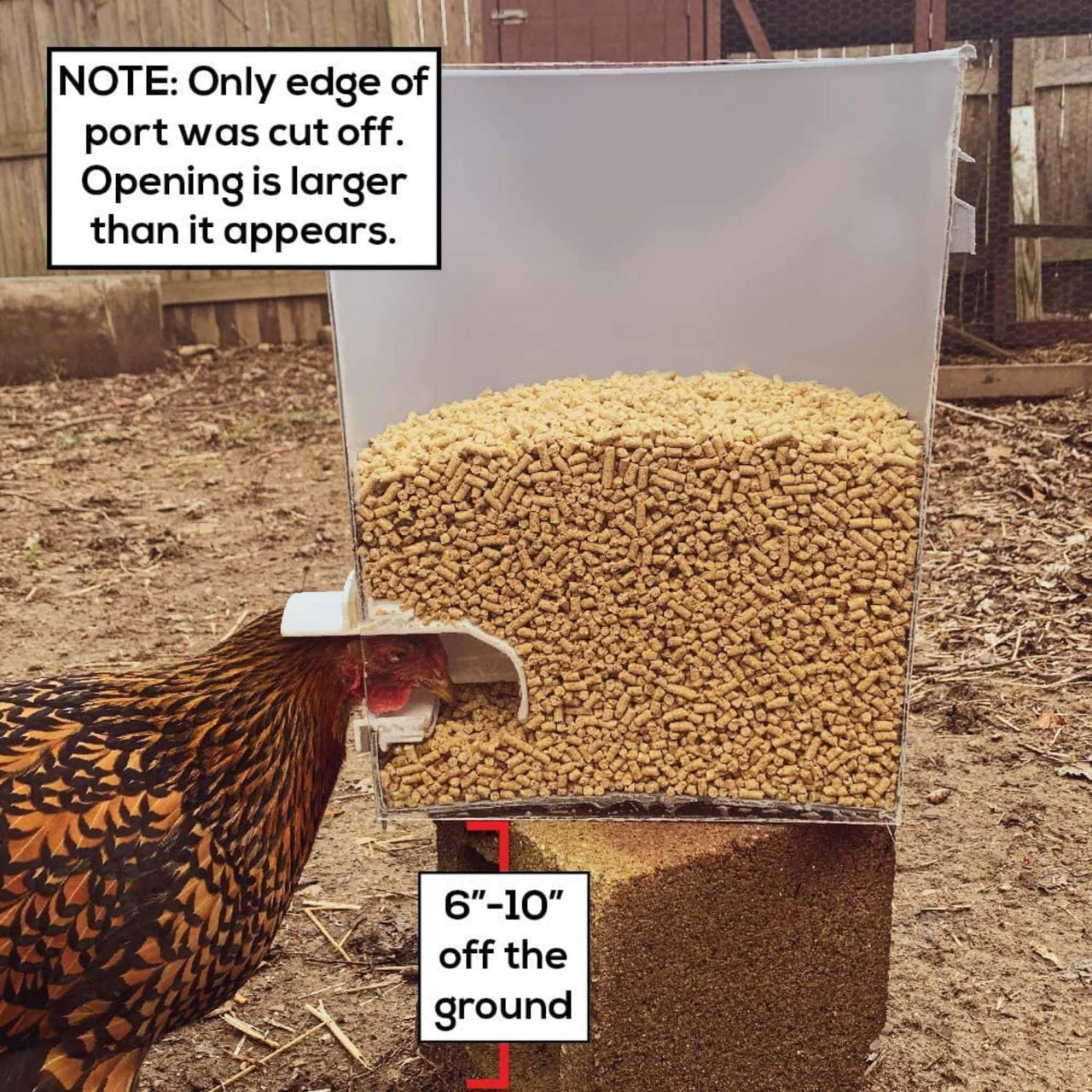 Chicken Feeder Automatic Poultry Feeder