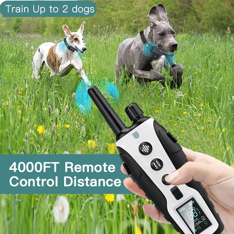 Dog Training Collar Rechargeable Waterproof