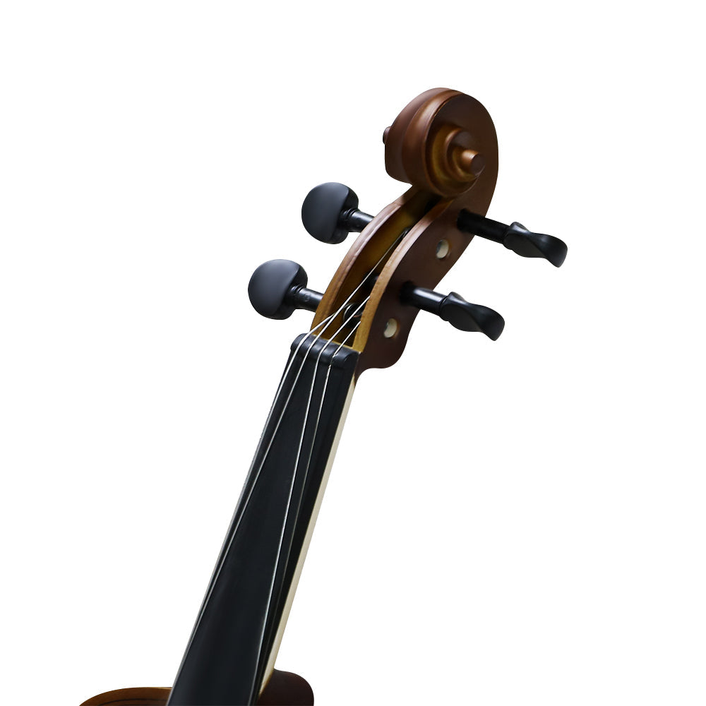 Violin Full Size 4/4