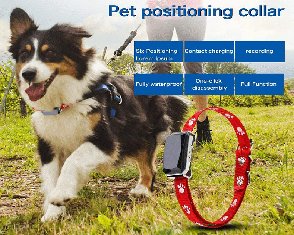 Smart Pet Locator Waterproof Anti-Lost Location Tracker Collar For Cats Dogs