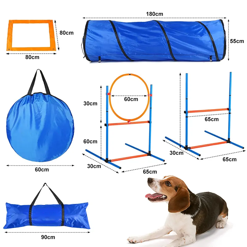 Dog Agility Equipment