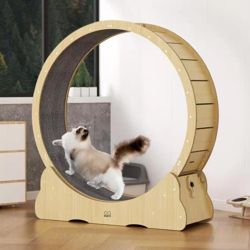 Cat Exercise Wheel Cat Scratcher Board