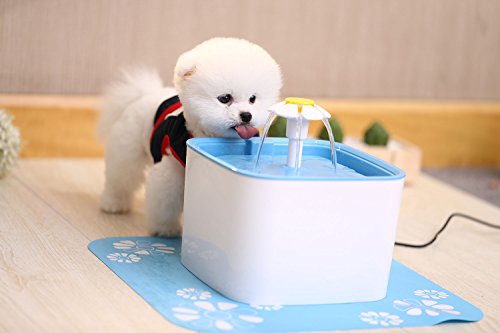 Pet water Drinking Fountain