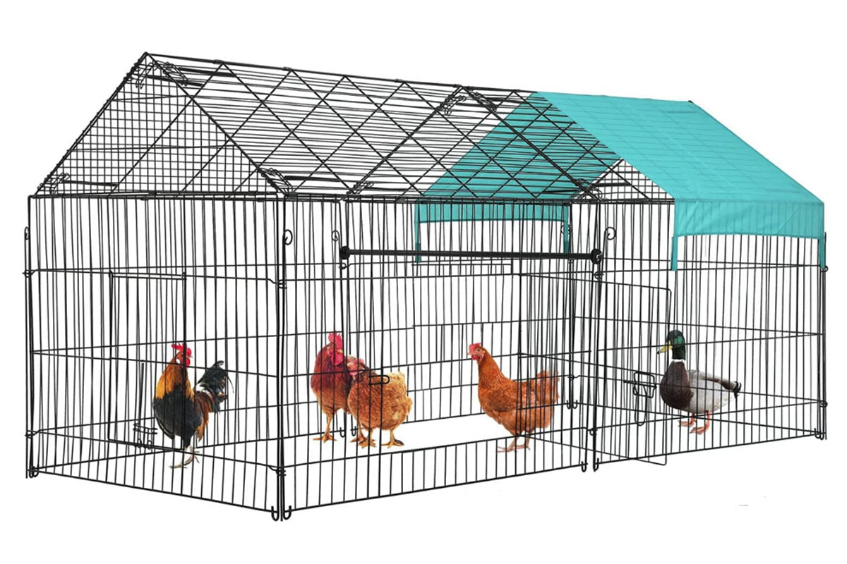 Outdoor Chicken Coop