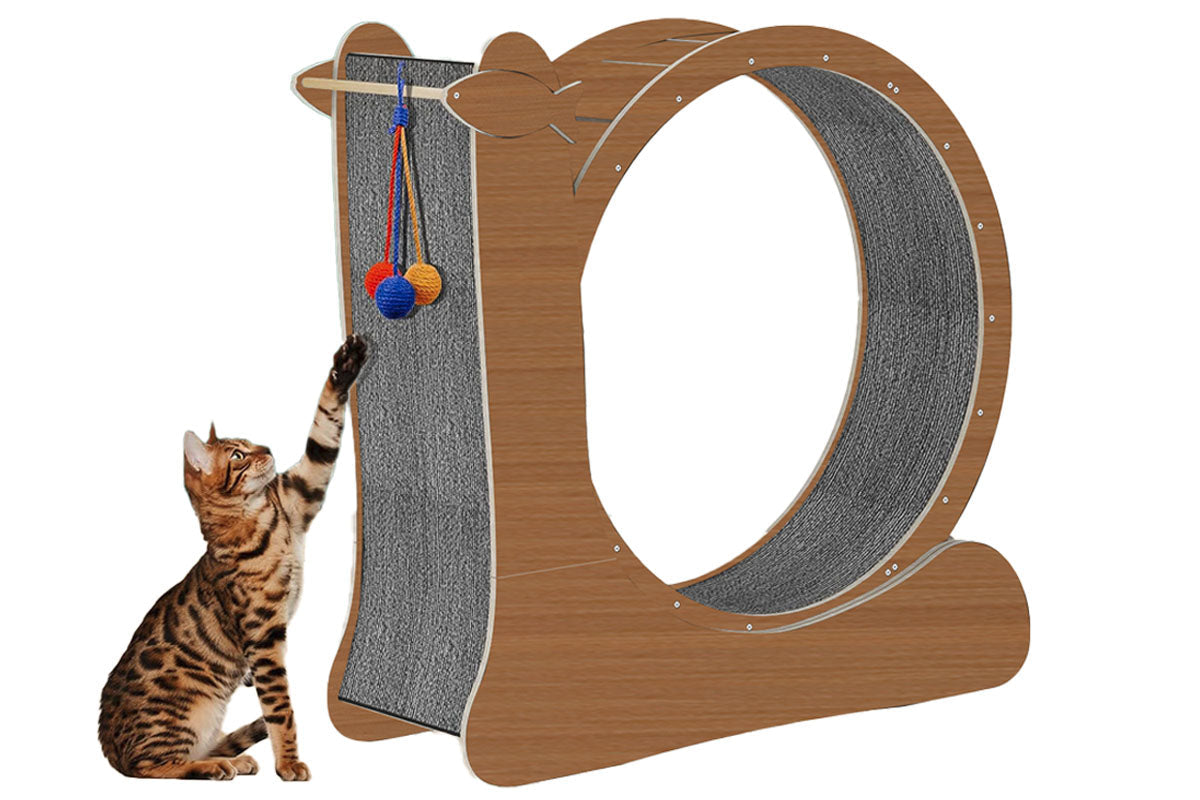 Cat Exercise Wheel Toy Running Exerciser Treadmill Furniture Scratcher Board Roller Play Gym Sports Equipment with Carpet Runway