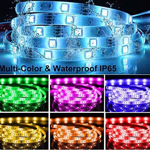 LED strip Light RGB 10M App Control