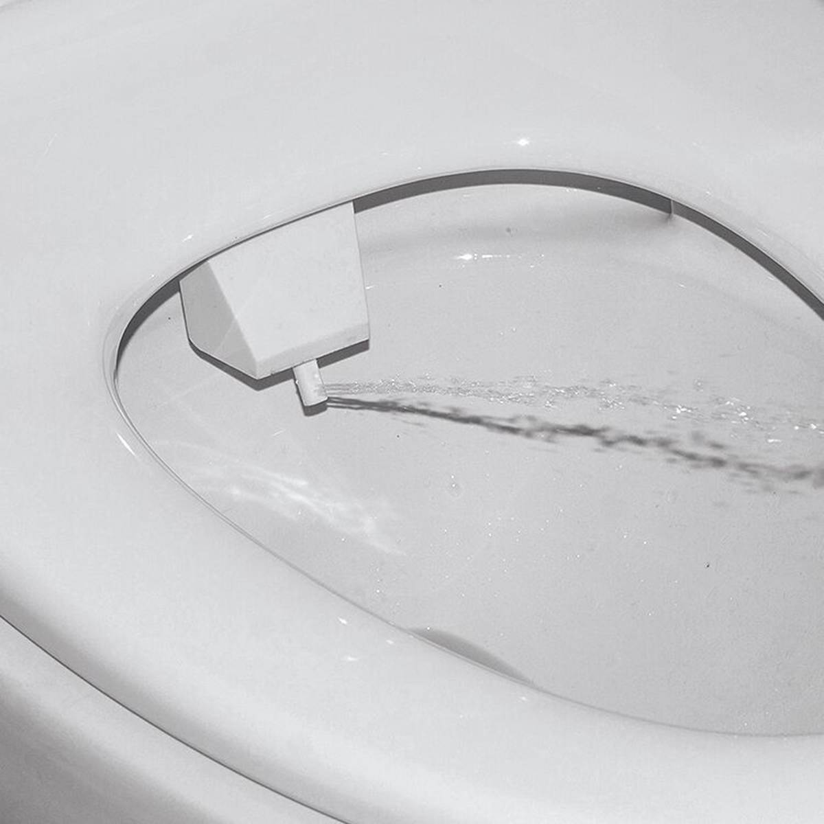 Bidet Toilet seat