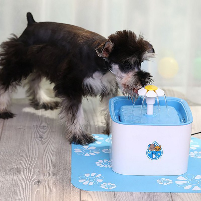 Pet water Drinking Fountain