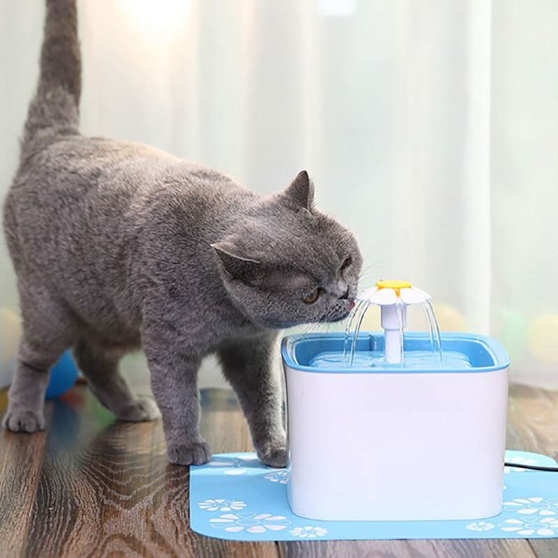 Pet water Drinking Fountain