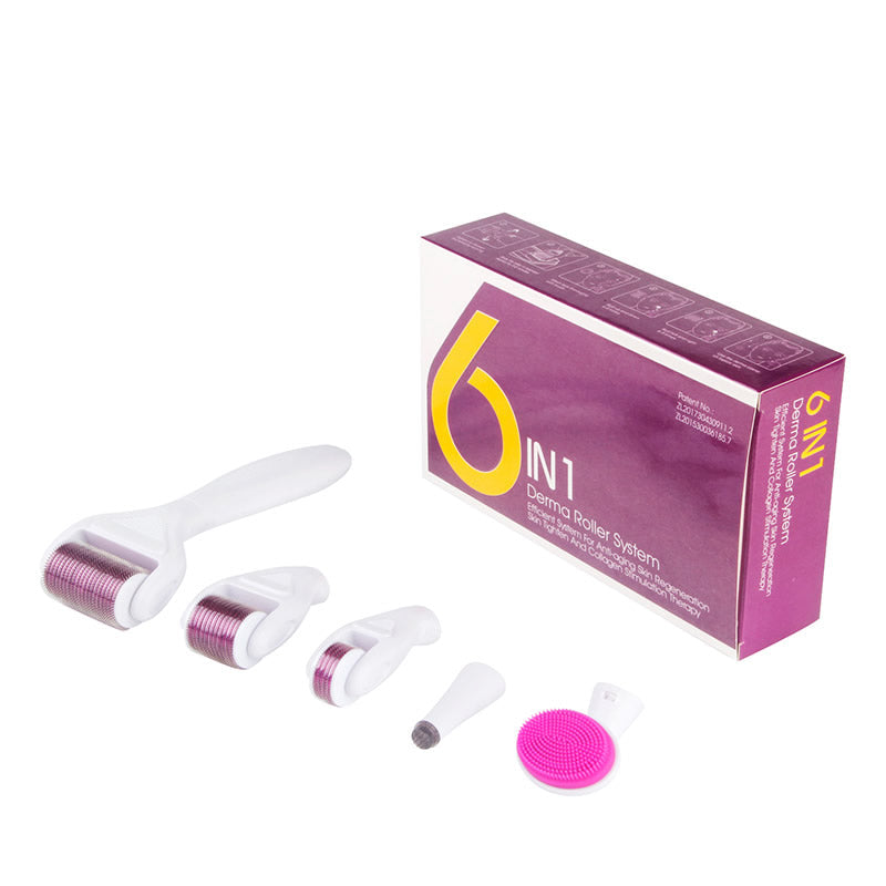 6 in 1 DRS Derma roller