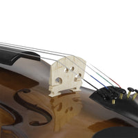 Thumbnail for Full-size 4/4 Violin with Carrying Case Nature